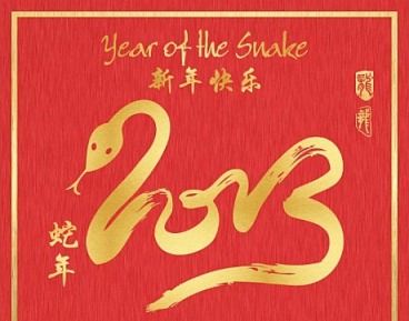 tlcbabe-cny-2013-snake-year